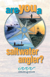 Angling Guide cover
