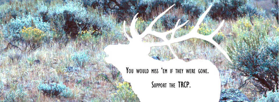 Support America's hunting and fishing resources.  <i></i> <a href="https://secure3.convio.net/trcp/site/Donation2?df_id=1040&1040.donation=form1&JServSessionIdr004=9rmi5a5ej7.app339a">Support the TRCP.</a>