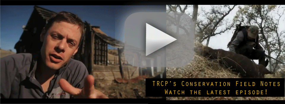 Watch Steven Rinella in episode two of TRCP's Conservation Field Notes. <i></i> <a href="http://www.trcp.org/community/conservation-field-notes">Watch the latest!</a>