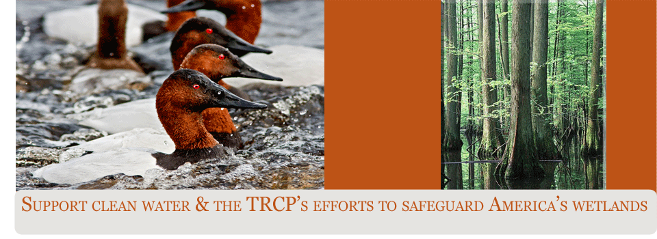 America loses an average of 100,000 acres of wetlands per year to draining and development projects. <i>Photo by Paul Bramble.</i> <a href="http://www.trcp.org/issues/wetlands">Learn More.</a>