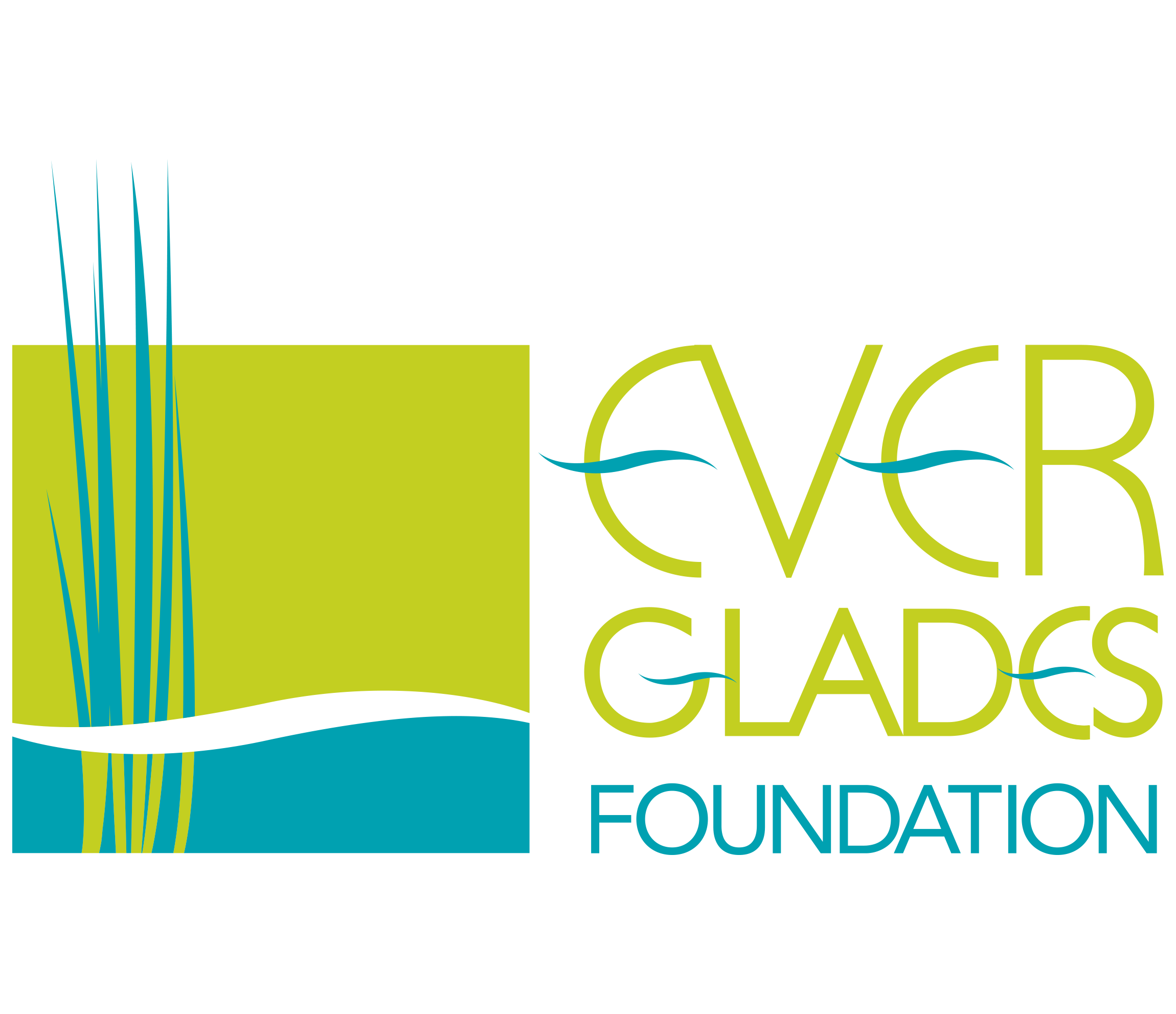 The Everglades Foundation logo