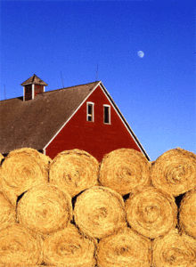 Iowa Barn
