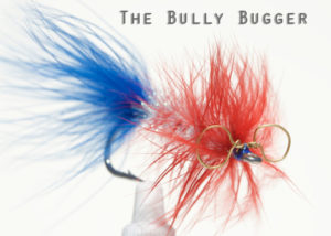 Bully Bugger