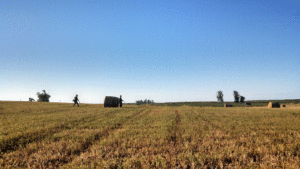 Dove Field near Bismarck