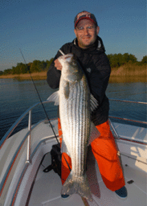 Striped bass with angler.