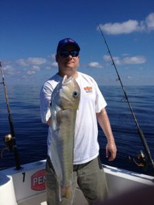 Golden tilefish. Photo courtesy of Steve Waters.