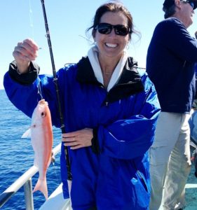Vermillion snapper