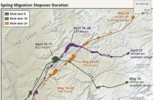 ed map