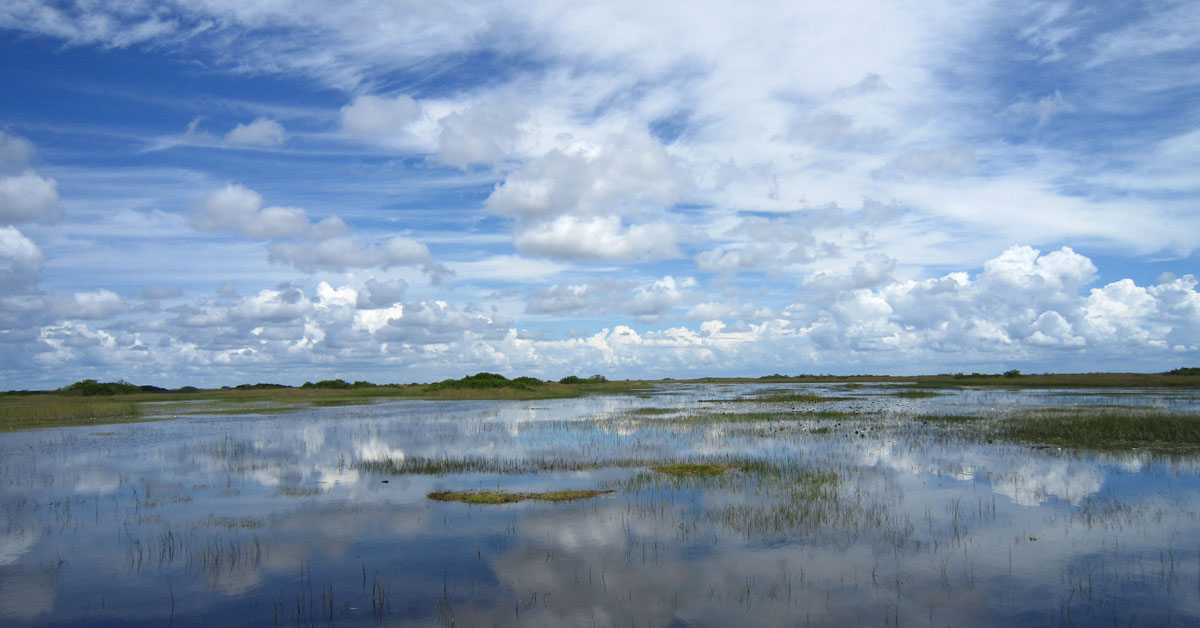 everglades_panel_FB_web