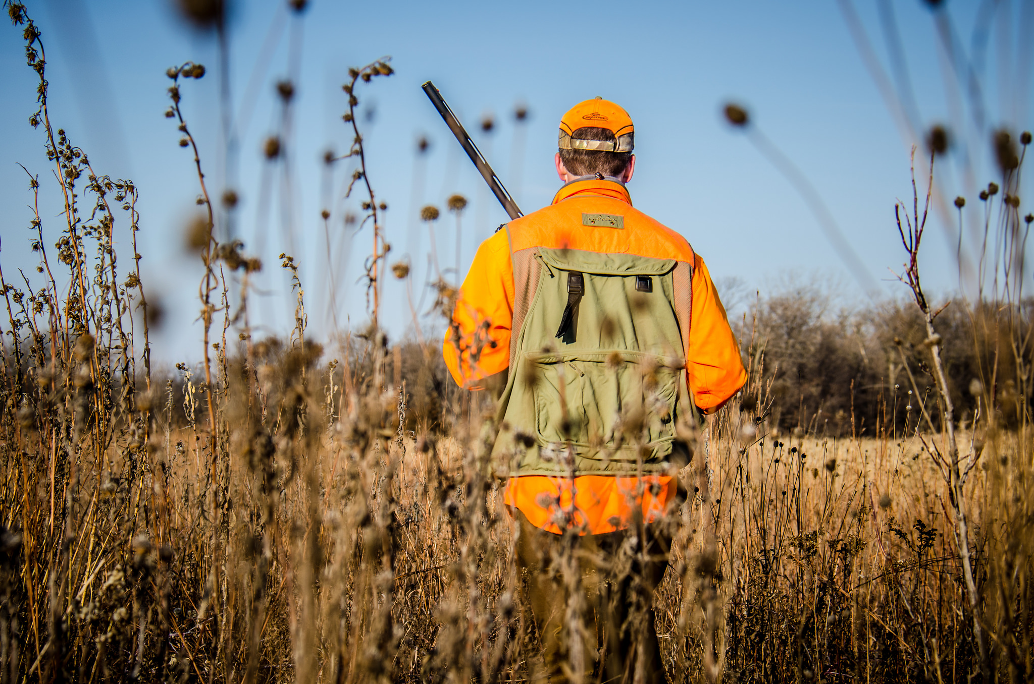 hunting pheasants Minnesota farm bill