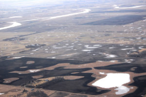 America's duck factory prairie potholes region