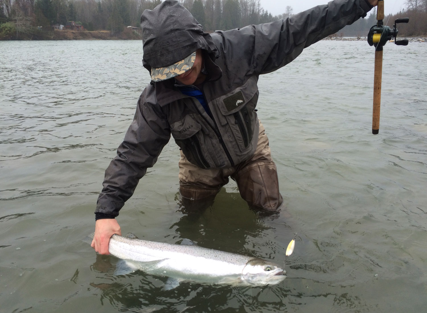 winter steelhead public lands Washington