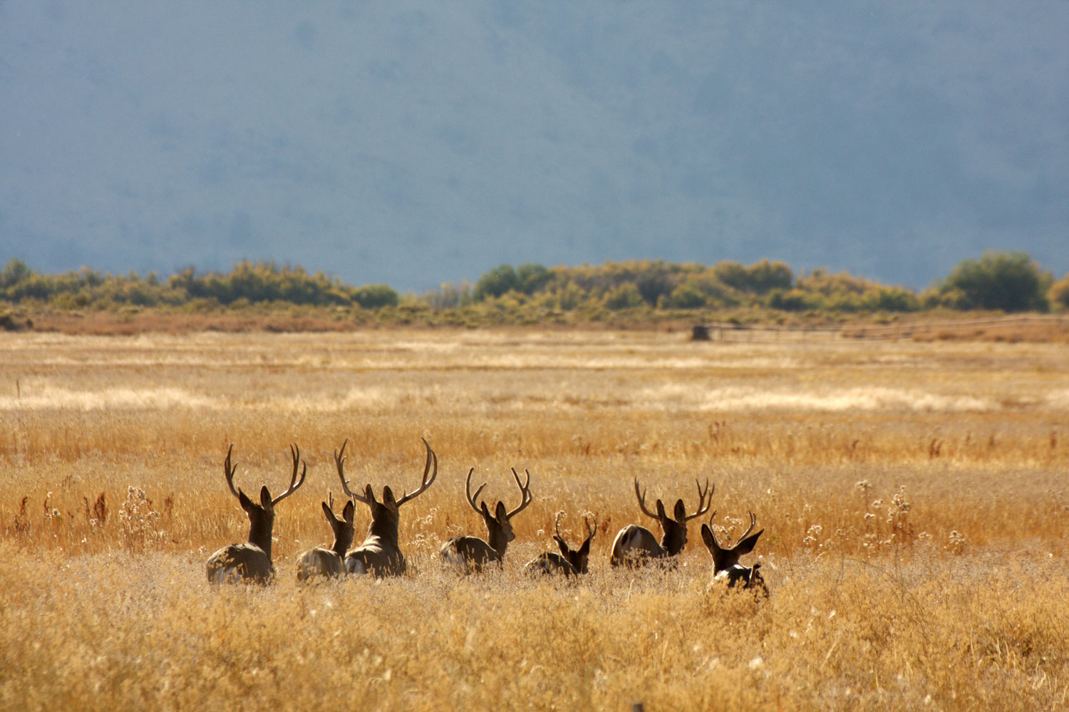 malheur national wildlife refuge