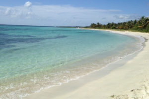 vieques national wildlife refuge