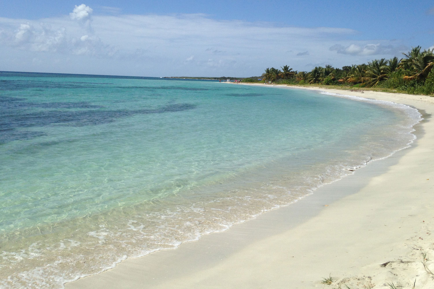 vieques national wildlife refuge