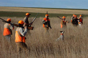 pheasant hunting Farm Bill 2018