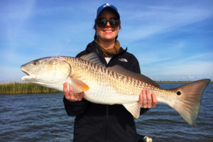 redfish louisiana fish habitat