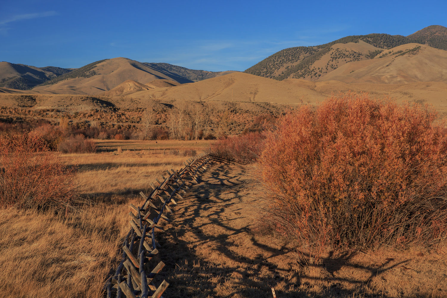 BLM public lands