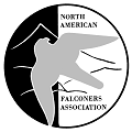 NAFA_Logo