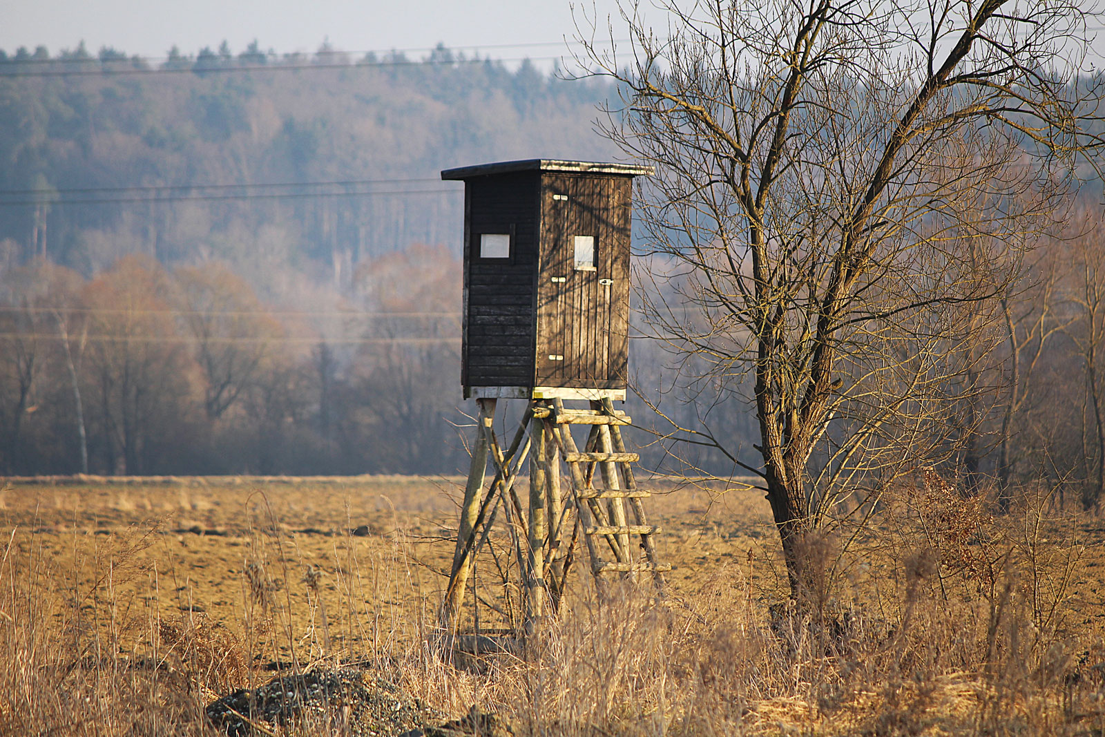 Deer Blind 1 25 States Took Additional Steps to Fight Chronic Wasting Disease in the Past Year | Theodore Roosevelt Conservation Partnership