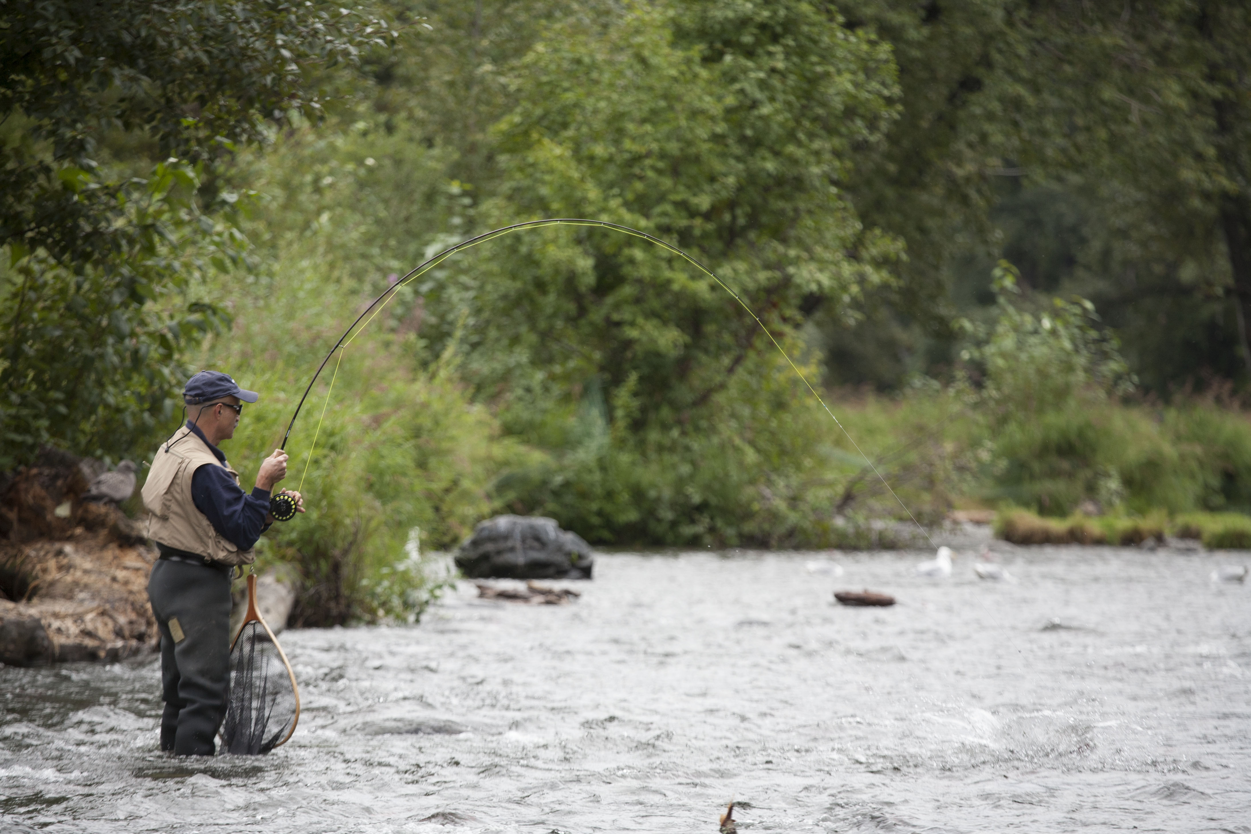 Fishing on the Russian River, Kenai Peninsula, Chugach National Forest
