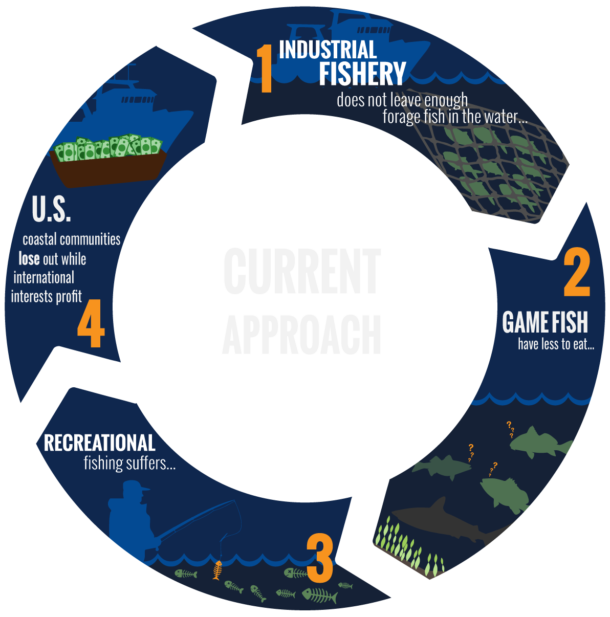 Forage Fish Recovery | Theodore Roosevelt Conservation Partnership