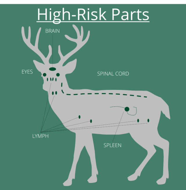 CWD High Risk Parts blog version 25 States Took Additional Steps to Fight Chronic Wasting Disease in the Past Year | Theodore Roosevelt Conservation Partnership