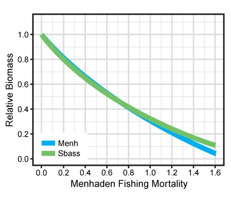 Attack by Menhaden Industry Unites the Conservation Community