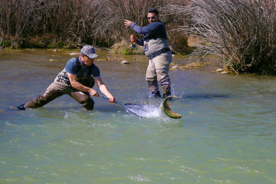 two men trying to catch a fish in a net