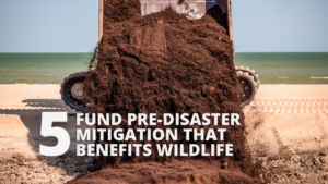 fund pre-disaster mitigation that benefits wildlife