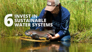 invest in sustainable water systems