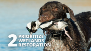 Prioritize wetlands restoration