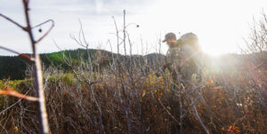 hunter going through high brush