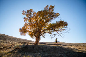 Patrick running past a large tree on the plains
