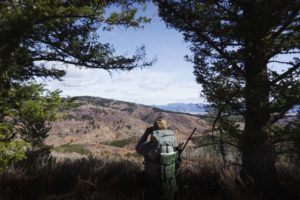 hunter looking at mountain view