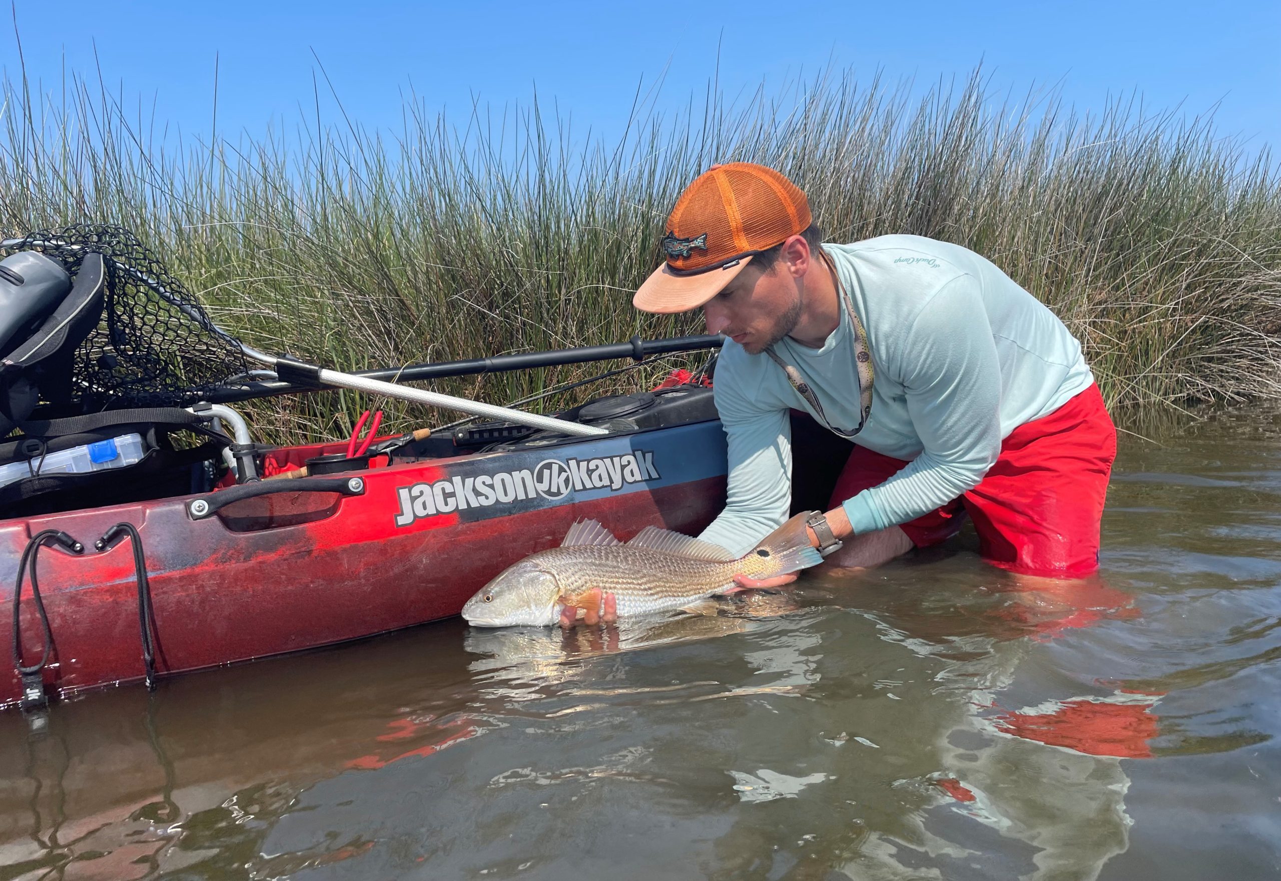 Pictures and Fishing Reports: Used a BABY DUCK to catch a RED FISH