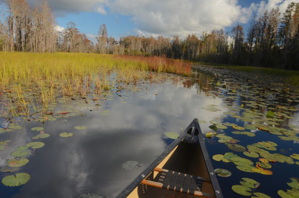 Suwannee River Headwaters Forest – Georgia - The Conservation Fund