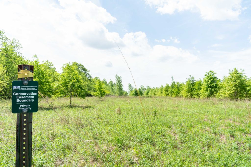 Conservation easement sign in a field - USDA NRCS Indiana