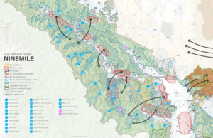ninemile map