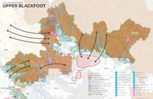 upper blackfoot map