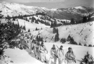 soliders training at hale