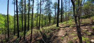 pinhoti trail flagg mountain