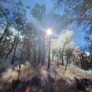 fire at flagg mountain