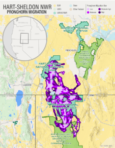 hart sheldon NWR prongorn migration