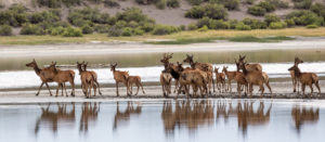 Blanca Wetlands Recreation Area -BLM Colorado