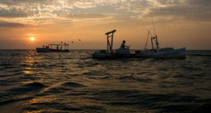 maryland fisheries at sunset