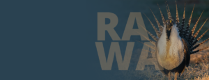 rawa main page image