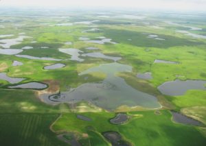 prairie potholes