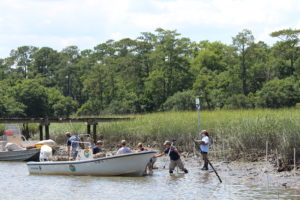 volunteers installing oyster reef along shore