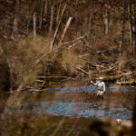 spring creek in chesapeake bay with man fishing